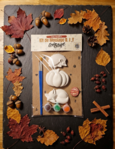 Kit DIY Moulage – Automne 2 (M) Kit DIY Moulage – Automne 2 (M)